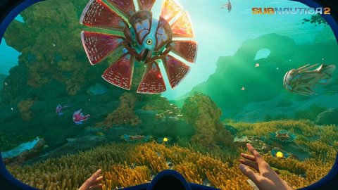 Unknown Worlds新作Subnautica 2公开最新信息-Subnautica续集最新消息