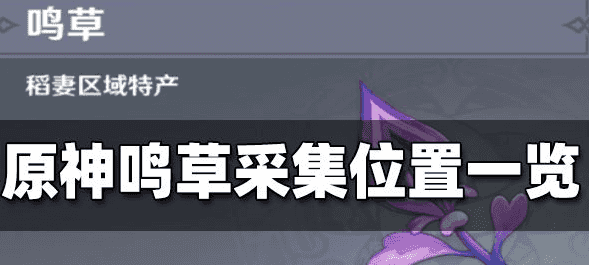 原神鸣草最新采集路线位置及刷新时间，宵宫突破材料必备材料