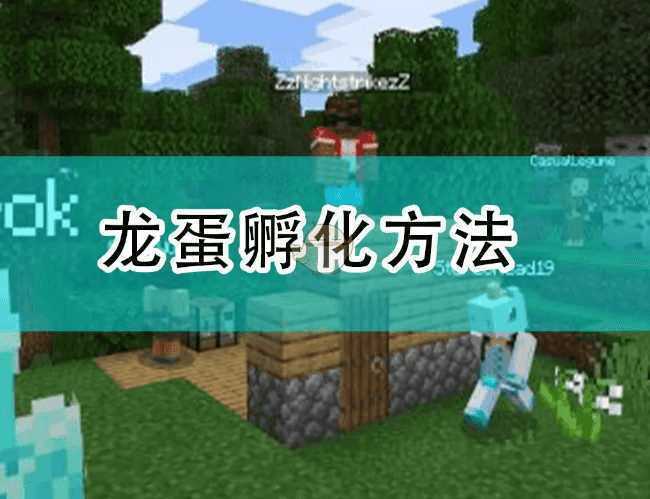 8种不同龙蛋怎么孵化出小龙-我的世界末影龙蛋怎么孵化