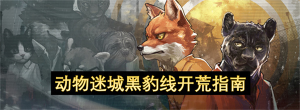 动物迷城黑豹线开荒指南-动物迷城黑豹线开荒建议
