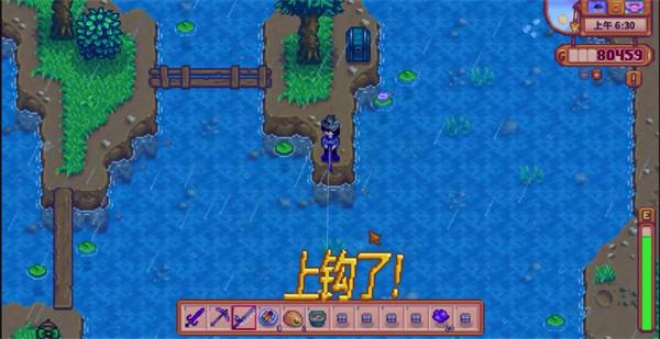星露谷物语稀有鱼怎么钓-稀有鱼获取方法