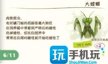 蜡笔小新煤炭镇的小白螳螂怎么捕捉-螳螂捕捉攻略