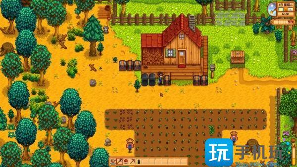 星露谷物语野生种子怎么种-野生种子种植步骤