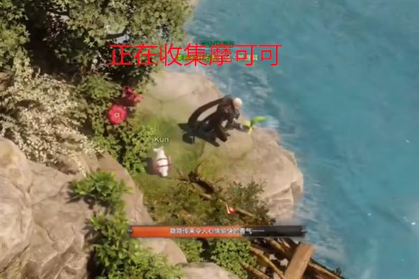 命运方舟鲸鱼岛摩可可种子在哪