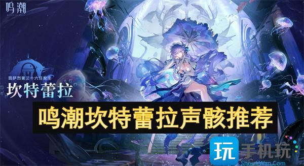 鸣潮坎特蕾拉声骸推荐