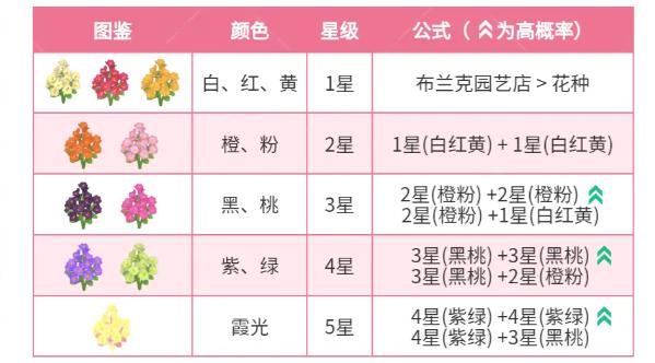 心动小镇迎春花杂交配方有哪些