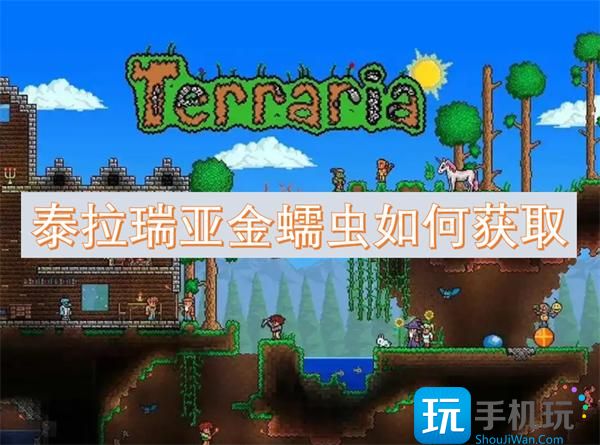 泰拉瑞亚金蠕虫如何获取-金蠕虫获取方法