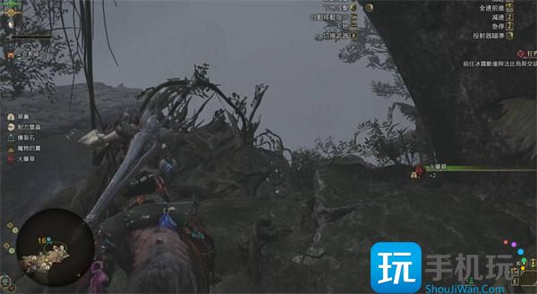怪物猎人荒野蜂蜜速刷技巧推荐