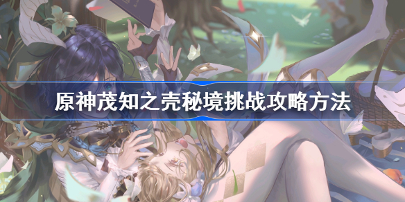 原神茂知之壳秘境挑战攻略方法-原神茂知之壳秘境挑战怎么过
