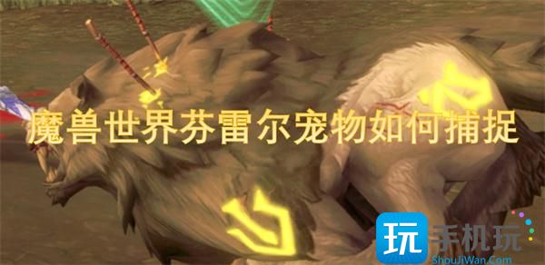 魔兽世界芬雷尔宠物如何捕捉-芬雷尔宠物捕捉方法
