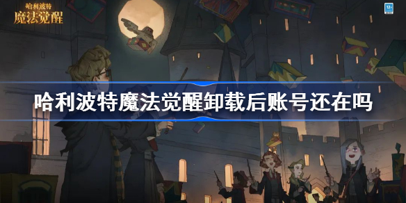 哈利波特魔法觉醒卸载后账号还在吗-哈利波特卸载后数据没了