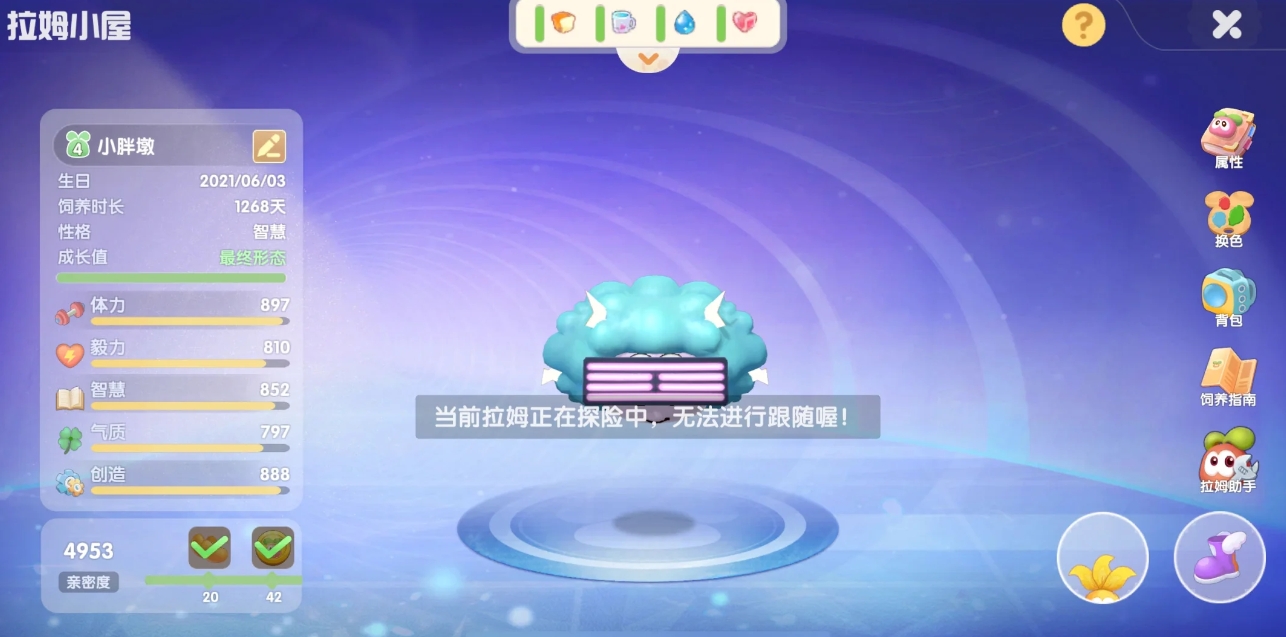 摩尔庄园潮汐漩涡探险要注意什么