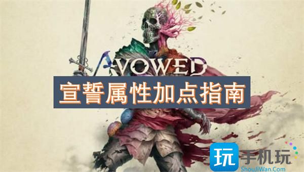 宣誓属性怎么加点-属性加点指南