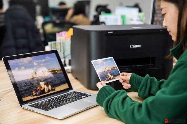 XD5 PC 版如何迅速摆脱通缉 实用秘籍与高效策略全解析