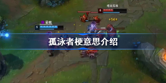 孤泳者是什么梗-孤泳者什么意思