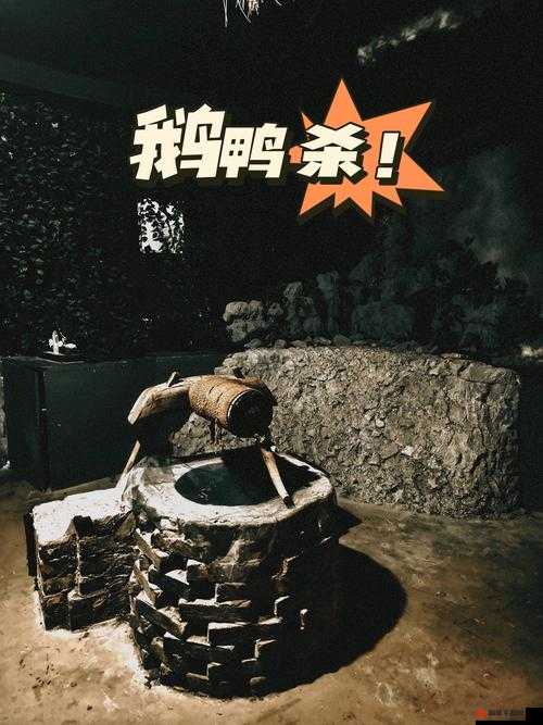 鹅鸭杀鸭子获胜条件介绍