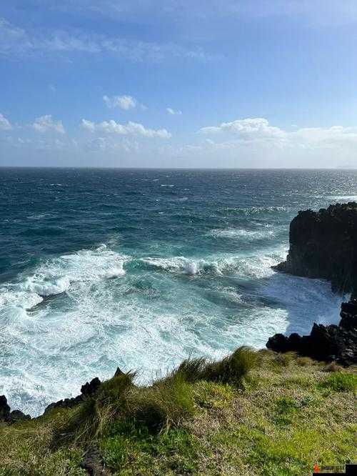 Atlanticocean 巨大停止后又恢复：成因与影响