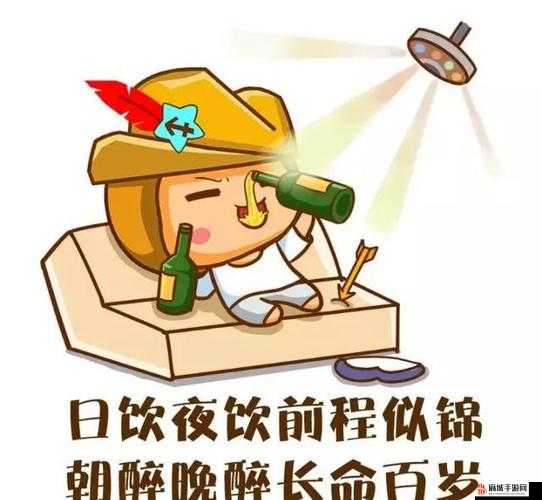 少年国志：橙宠护佑心得：深度解析，独特视角下的私人解读