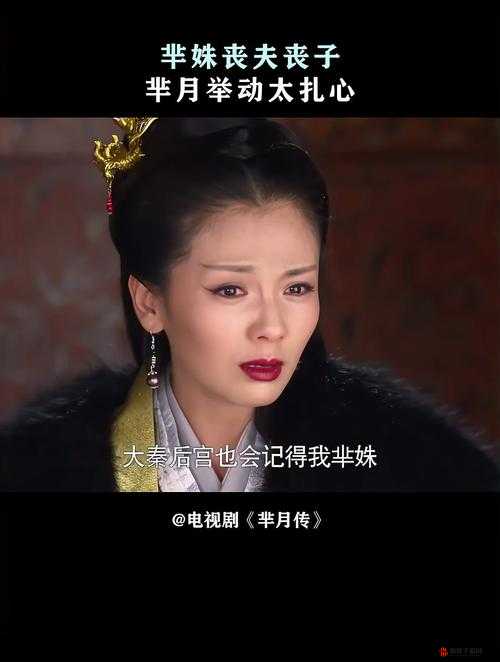 《大秦芈月传》公会：探索秦朝历史，领略芈月传奇