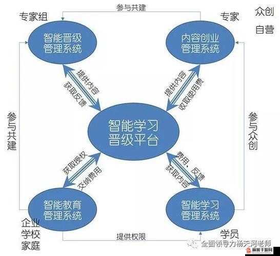 宠物生态系统构建与智能管理方案