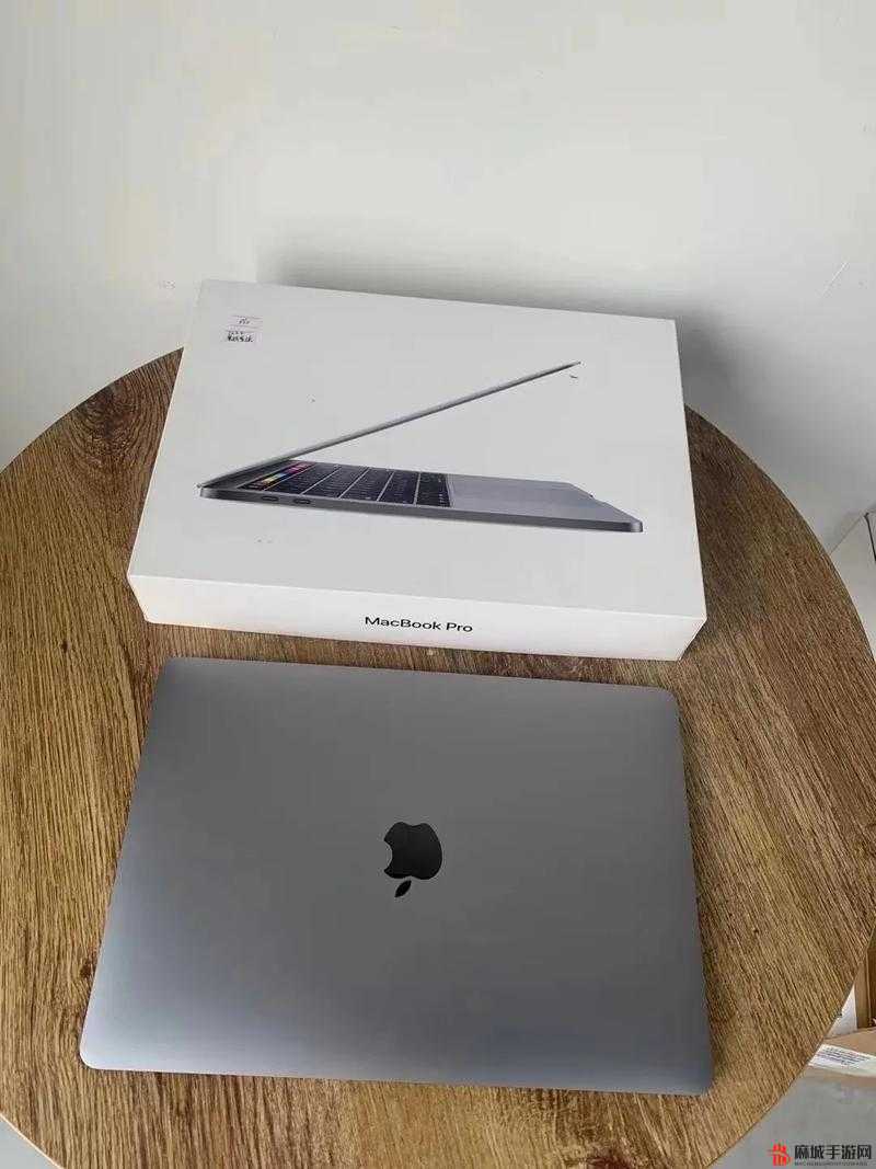 18-19macbook pro：性能卓越的专业之选