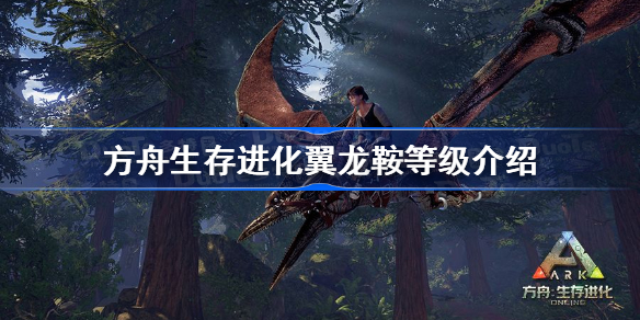 方舟翼龙的鞍几级可以造-方舟生存进化翼龙鞍等级介绍