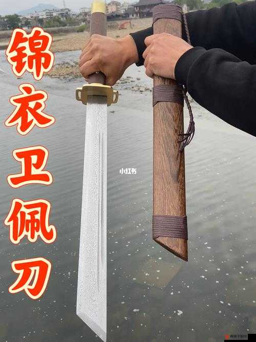 阴真经手游现世，绣春刀重现江湖，御赐佩刀截图揭秘神秘武学秘籍探索之旅开启