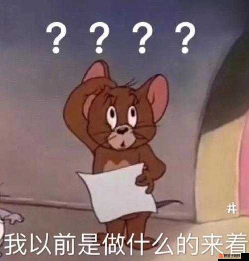 揭秘网络热梗，你在干什么啊所长起源与流行全解析