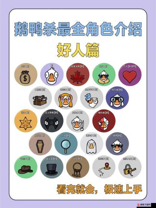 鹅鸭杀游戏深度剖析，呆呆鸟角色特性及所属阵营全面解析