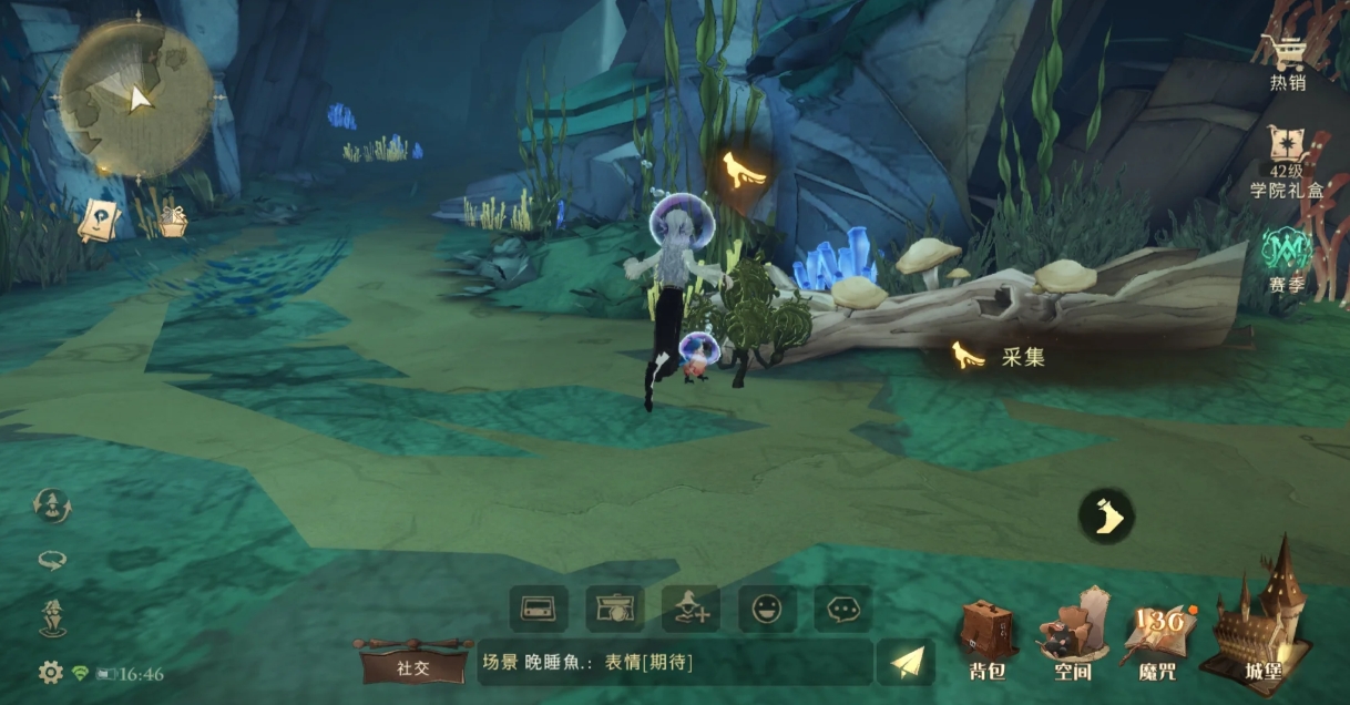 哈利波特魔法觉醒水陆植物怎么采集