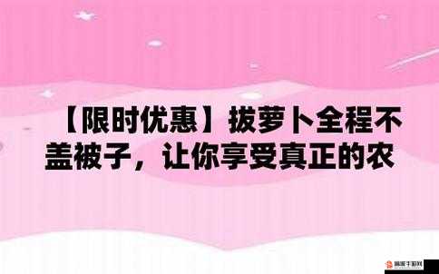 意思打牌盖被子(黄)：别样趣味体验