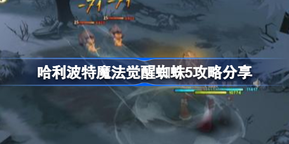 哈利波特魔法觉醒蜘蛛5怎么攻略-哈利波特魔法觉醒蜘蛛5攻略分享