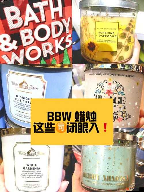 小P孩与大人BBWBBwBBW之间的奇妙冒险与成长故事