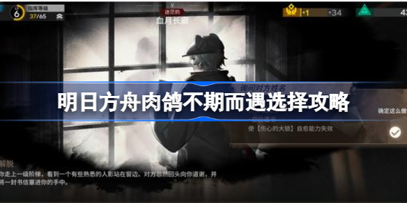 明日方舟肉鸽不期而遇该怎么选择-明日方舟肉鸽不期而遇选择攻略