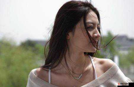 李祟瑞全集苦瓜网：珍贵文化资源分享
