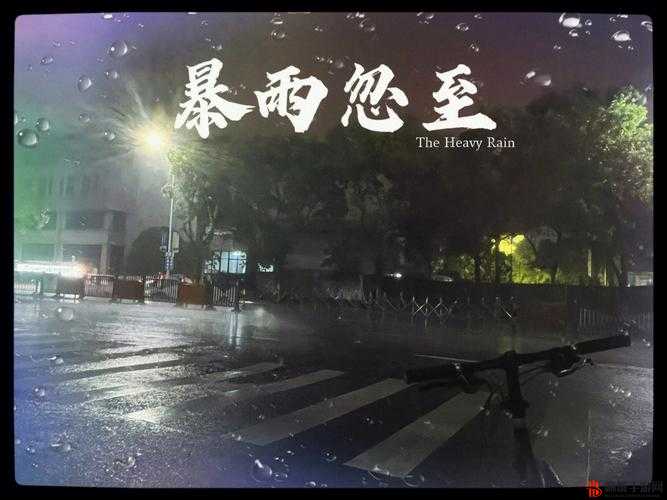 暖雪雷一迅影流派深度解析，新手玩家如何踏上闪电般的成长之旅