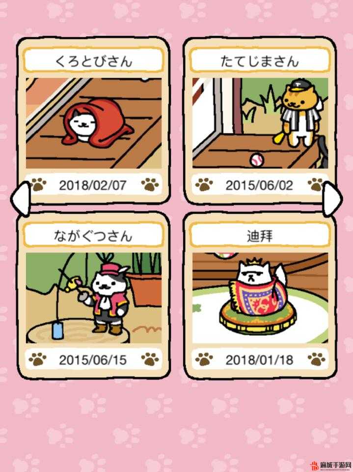 可爱的猫咪：后院道具全解析
