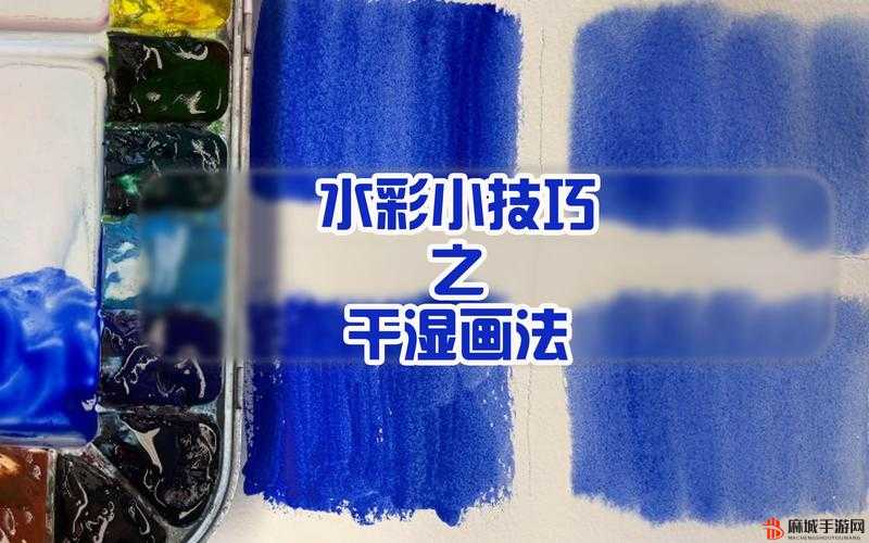 可不可以干湿你最简单处理的实用技巧与注意事项分享