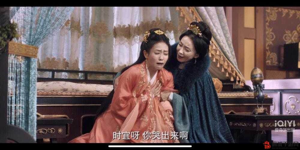 时宜周生辰肉红豆：一段独特的情感纠葛