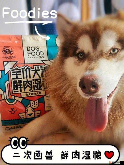 ZOOMSERVO 兽狗产品优势：品质卓越性能强
