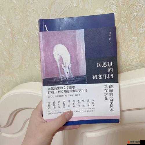 房思琪的初恋乐园：一个少女的破碎青春