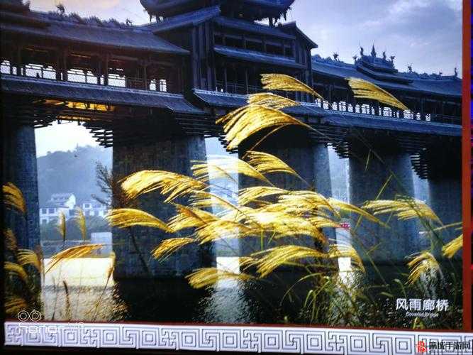 《小仙看招》之海量神兵宝甲的神秘副本探秘之旅