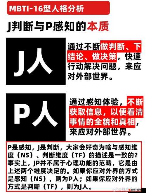 成品人和精品人的区别解析：深度剖析本质差异