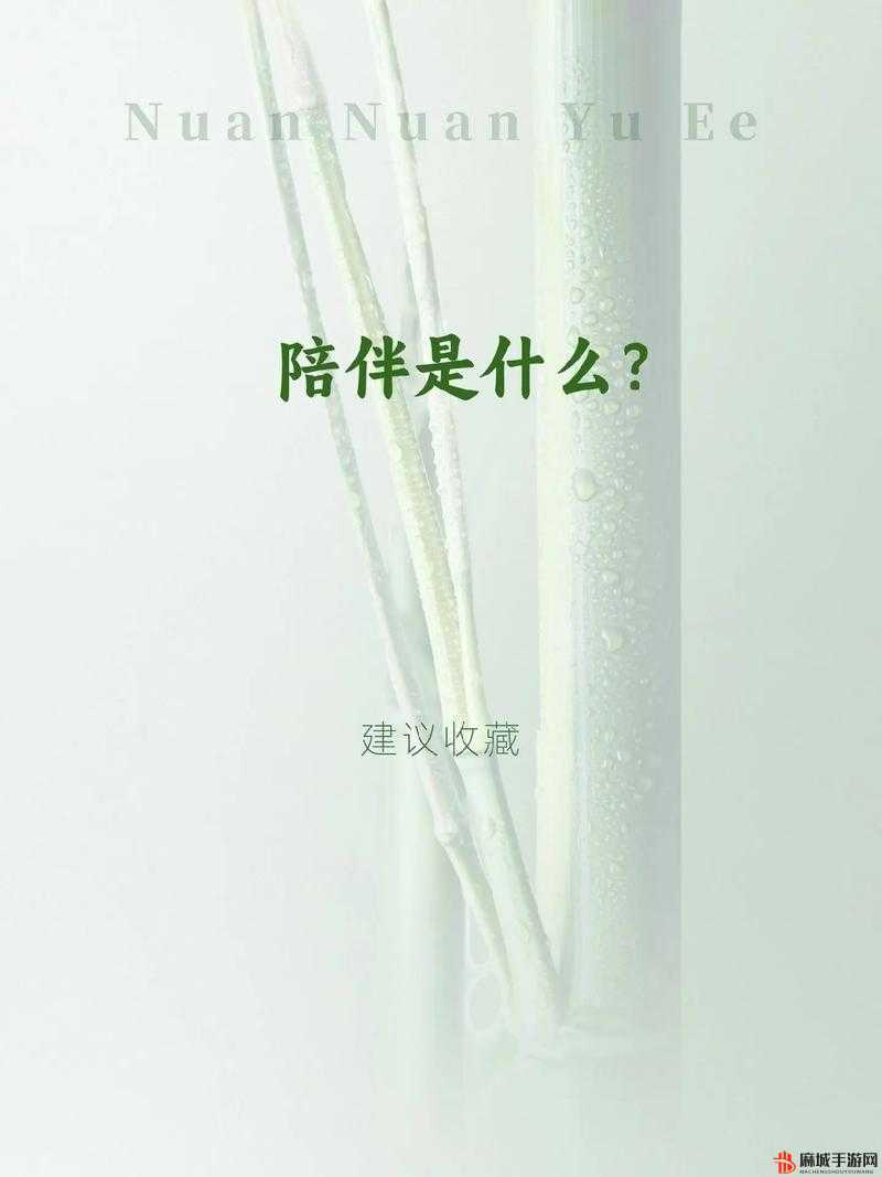 品味母爱的芬芳：那无尽的温暖与关怀