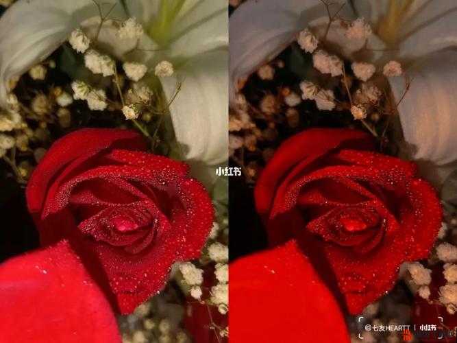 一级调色二级调色三级调色054 宣布加入野草资源：全新征程开启
