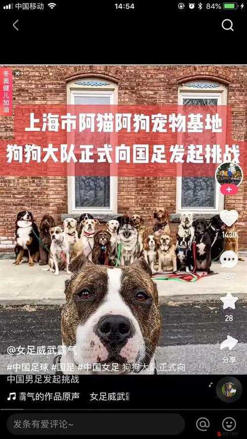 人马进行交流配对：探索奇妙的跨物种沟通方式