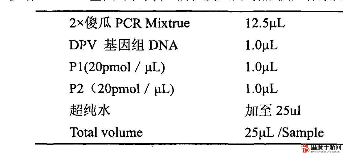 二十四种阴性外貌形状：探究其独特魅力