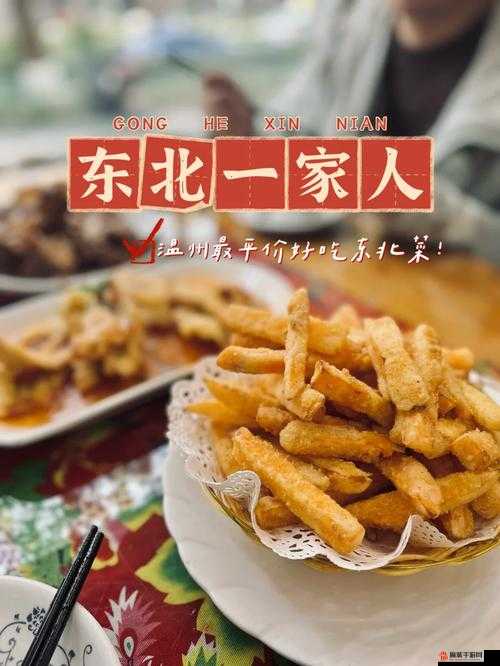 东北一家人 1 一 6 全文阅读：领略东北风情的家庭故事之旅