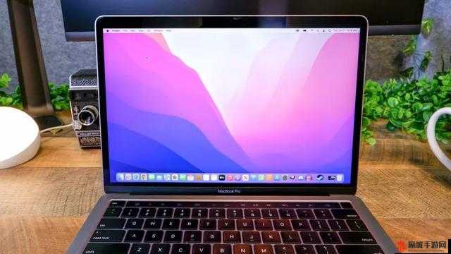 1213 岁 macbook 日本：独特的科技现象