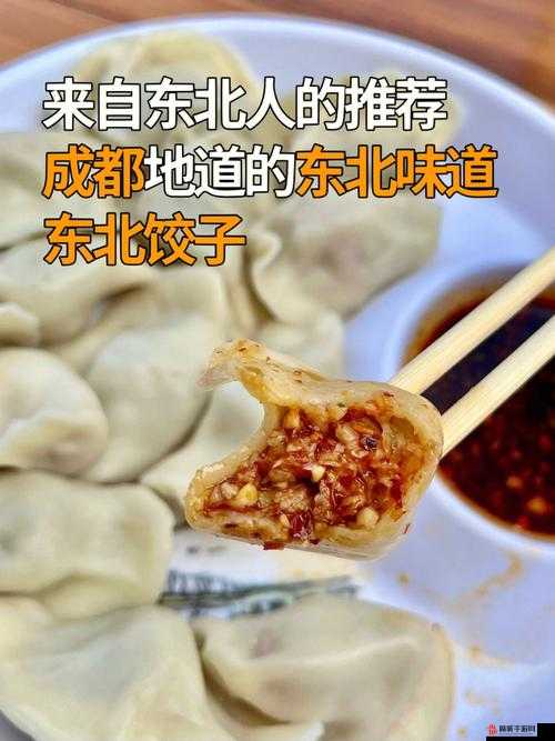 江教授要稳住肉馅小水饺视频：精彩呈现